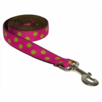 6 ft. Dot Dog Leash, Fuchsia & Lime - Medium