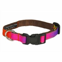 Dog Collar, Rainbow - Extra Small