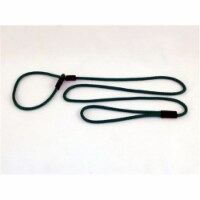 Soft Lines P20406EMERALDGREEN Small Dog Slip Leash 0.25 In. Diameter By 6 Ft. - Emerald Green