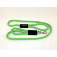 Soft Lines PSS11010LIMEGREEN 2 Handled Sidewalk Safety Dog Snap Leash 0.62 In. Diameter By 10