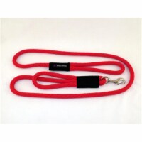 Soft Lines PSS11010RED 2 Handled Sidewalk Safety Dog Snap Leash 0.62 In. Diameter By 10 Ft. -