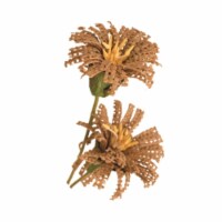 Wing Tai FA3160NA Natural Burlap Daisy Spray