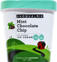 Snoqualmie Mint Chocolate Chip Ice Cream Pint