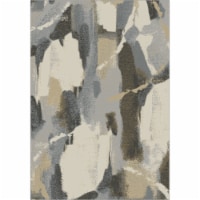 Aerial Abstract Gray / Brown Area Rug Perspective: Main