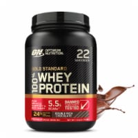 Optimum Nutrition Gold Standard 100% Whey Double Rich Chocolate Protein Powder Perspective: Main