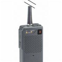 Ritron Portable Two Way Radios,2W,10 Ch JMX146D