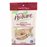 Whole Grain Rolled Oats with Tart Cranberries and Crunchy Pecans - Case of 6 - 11 oz.