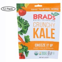 Brad's Plant Based - Crunchy Kale - Cheeze It Up - Case Of 12 - 2 Oz. Perspective: Main