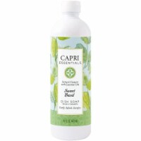 Capri Essentials - Dish Soap Sweet Basil - Case of 6-16 oz.