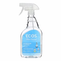 Earth Friendly Window Cleaner - Vinegar - Case of 6 - 22 fl oz.