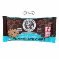 Equal Exchange Organic Chocolate Chips - Semi-Sweet - Case of 12 - 10 oz.