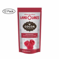 Land O Lakes Cocoa Classic Mix - Raspberry and Chocolate - 1.25 oz - Case of 12