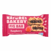 Nature's Bakery Stone Ground Whole Wheat Fig Bar - Raspberry - 2 oz - Case of 12
