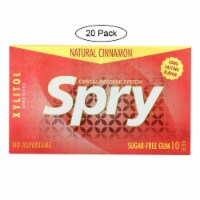 Spry Xylitol Gems - Cinnamon - Case of 20 - 10 Count