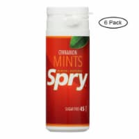 Spry Xylitol Gems - Cinnamon - Case of 6 - 45 Count