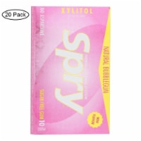Spry - Chewing Gum Bubble Gum - Case of 20 - 10 CT