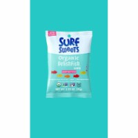 Surf Sweets - Christmas Candy Delishfish - Case of 12-2.75 oz.