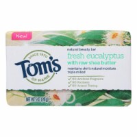 Tom's Of Maine - Beauty Bar Frsh Euclpts - Case of 6 - 5 oz.