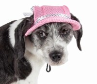 Sea Spot Sun' Uv Protectant Adjustable Fashion Mesh Brimmed Dog Hat Cap (Pink - Medium)