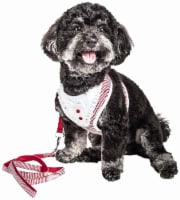 Spawling' 2-In-1 Mesh Reversed Adjustable Dog Harness-Leash W/ Fashion Bowtie (red - Large)