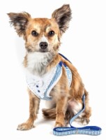 Spawling' 2-In-1 Mesh Reversed Adjustable Dog Harness-Leash W/ Fashion Bowtie (Blue - Small)
