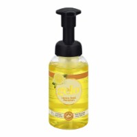 Gelo - Foam Hnd Soap Pump Lmnbsl - 1 Each 1-10 oz.