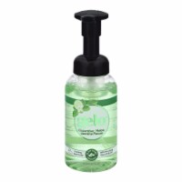Gelo - Foam Hnd Soap Pump Cucu - 1 Each 1-10 oz.