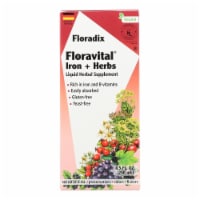 Floradix - Floravital Iron And Herbs - 1 Each 1-8.5 oz.