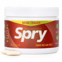 Spry Chewing Gum - Xylitol - Cinnamon - 100 count - 1 each