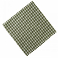 AG-20293S-4 Napkins, Toro Green Check - Set of 4