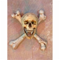 Wall Sconce Skull-Bone Life-Size Skull on Femur Crossbones no Candle
