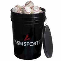 Bucket with 36 Mark 1 Official League Baseballs