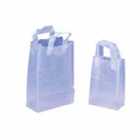 Plastic Gift Bags - Small