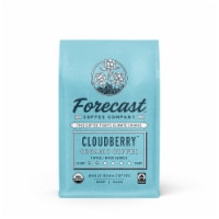 Forecast Cloudberry Organic Whole Bean Coffee Perspective: Main