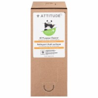 Attitude - Cleaner Ap Citrus Zest - 1 Each 1-135.3 OZ