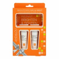 Andalou Naturals - Brghtng Day Nght Gft Kit - 1 Each-CT