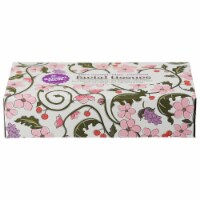 Natural Value - Facial Tissue 2ply - Case of 30 - 100 CT