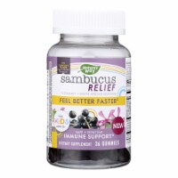 Nature's Way - Sambucus Kids Gummy - 1 Each-36 CT