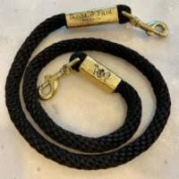 Black with Metallic Gold