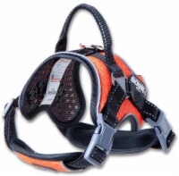 Dog Helios - 'Scorpion' Sporty High-Performance Free-Range Dog Harness Perspective: Main