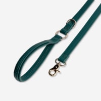 Jungle Green