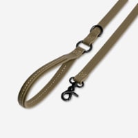 Martini Olive