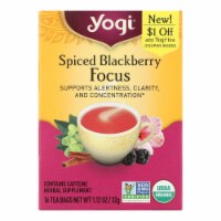 Yogi - Tea Spcd Blackbery Focus - Case Of 6-16 Bag Perspective: Main
