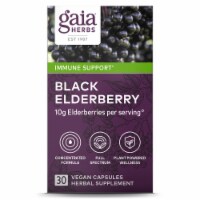 Gaia Herbs Black Elderberry Herbal Supplement Perspective: Main