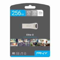 PNY 256GB Elite-X USB 3.2 Flash Drive Perspective: Main