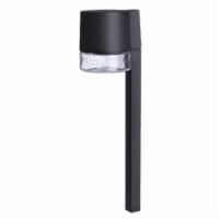 2W Warm White Cast Aluminum LED Path Light, Black with Seeded Glass Lens