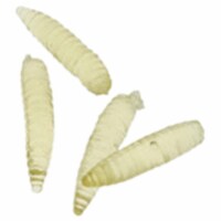 4 in. Glowing Maggots Toy