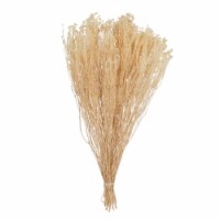 19 x 4 in. 3.5 oz Staavia Bunch Flowering Foliage, Bleached