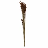 33 x 5 in. 3.5 oz Thatch Bunch Reed, Natural