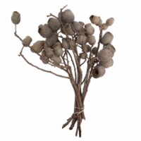 11 x 4 in. Belgium Branch 5-7 Bells Bunch Pod, Natural - 10 Piece